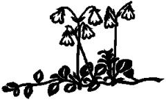 04-51