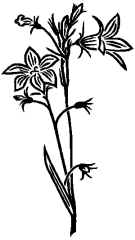 04-53