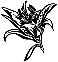 04-54