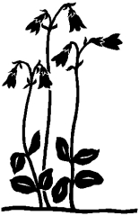 04-60