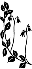 04-61