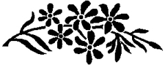 04-81