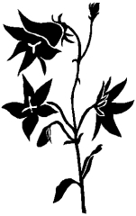 04-82