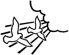 10-56