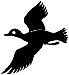 10-71